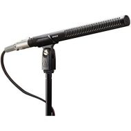 Audio-Technica Wireless Microphone System (BP4029)