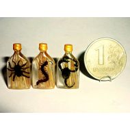 Donlane Vodka with spider, centipede, scorpion. Dollhouse miniature 1:12 OOAK